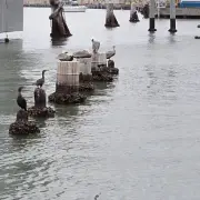 Ingeniería de Cimentaciones