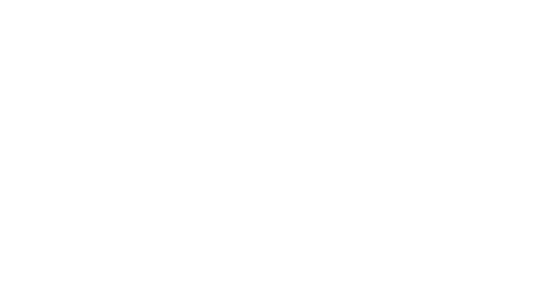 GeoConsulting